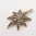 Victorian Old Cut and Rose Cut Diamond Star Charm​