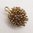 British Vintage Gold Large Porcupine Hedgehog Charm
