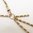 Substantial Fancy Link Naked Short Signature Necklace
